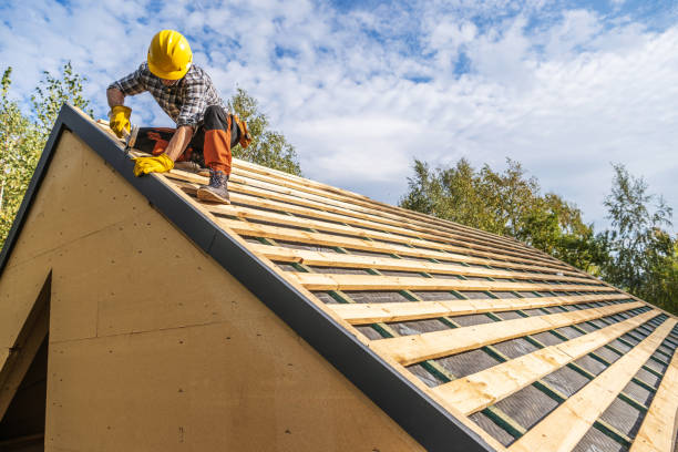 Best Storm Damage Roof Repair  in Vine Grove, KY